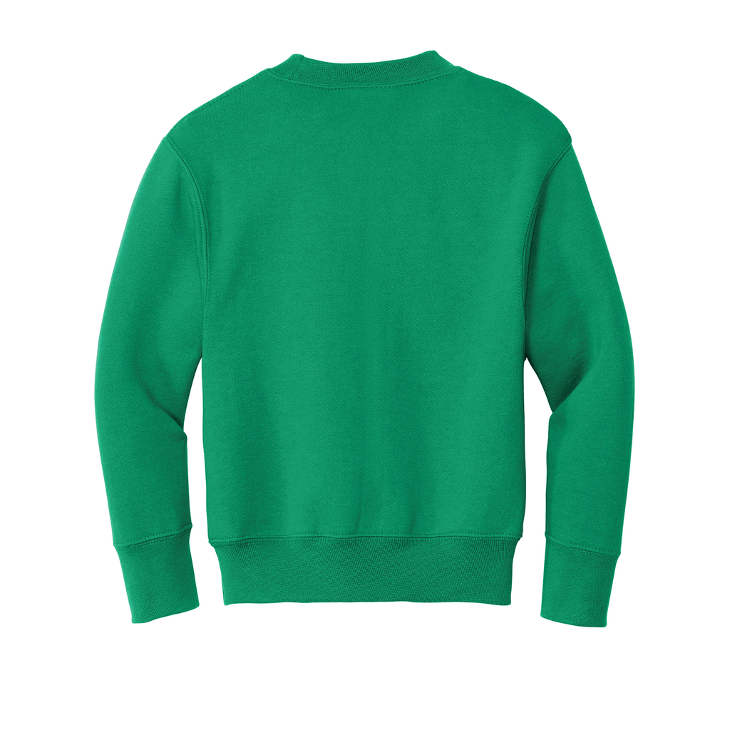 Youth Fleece Crewneck Sweatshirt